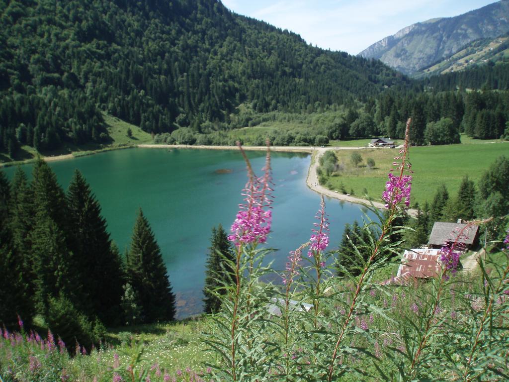 Le Clos Des Fontaines, A 5 Mn Du Lac Thonon-les-Bains Exterior photo